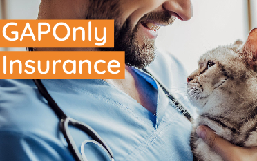 GAPOnly: The New Way To Use Pet Insurance