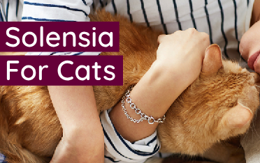 Solensia: The Latest Arthritis Treatment For Cats