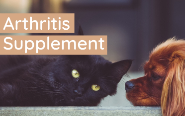 Arthritis: The Foresight On 4Cyte